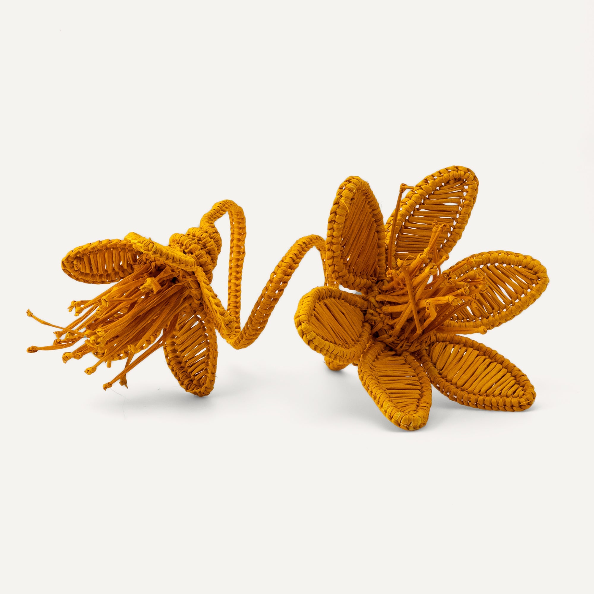 Florencia Napkin Ring Mustard TABLEWARE, SERVEWARE & COOKWARE
