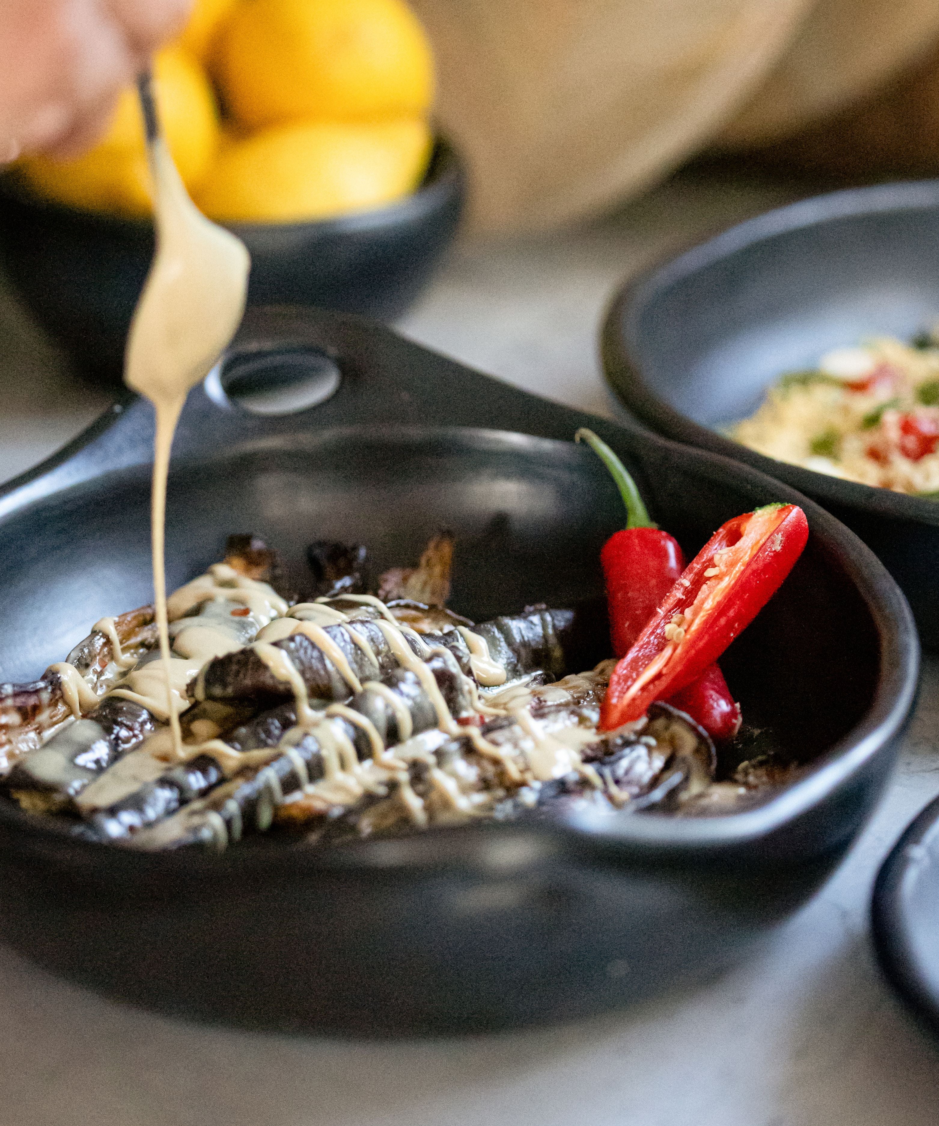 Roasting Dish Set of 2 Large