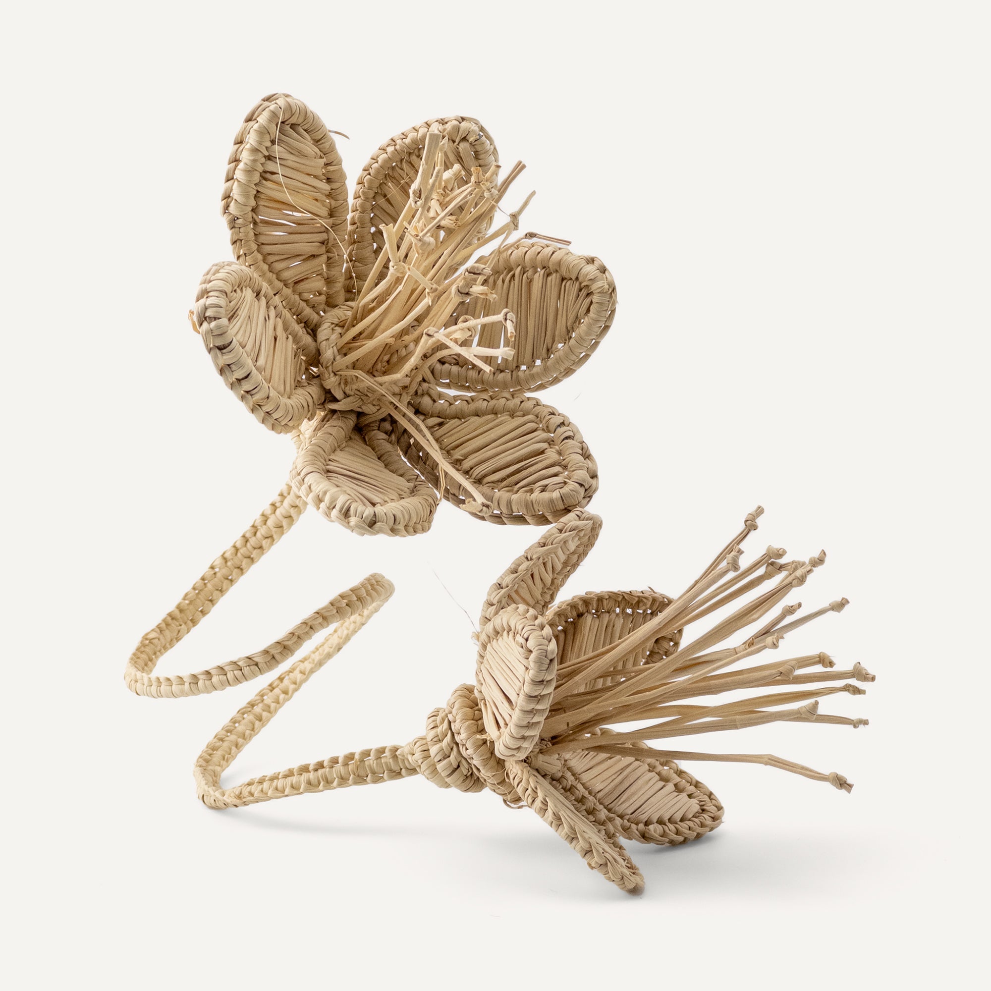 Florencia Napkin Ring Natural TABLEWARE, SERVEWARE & COOKWARE