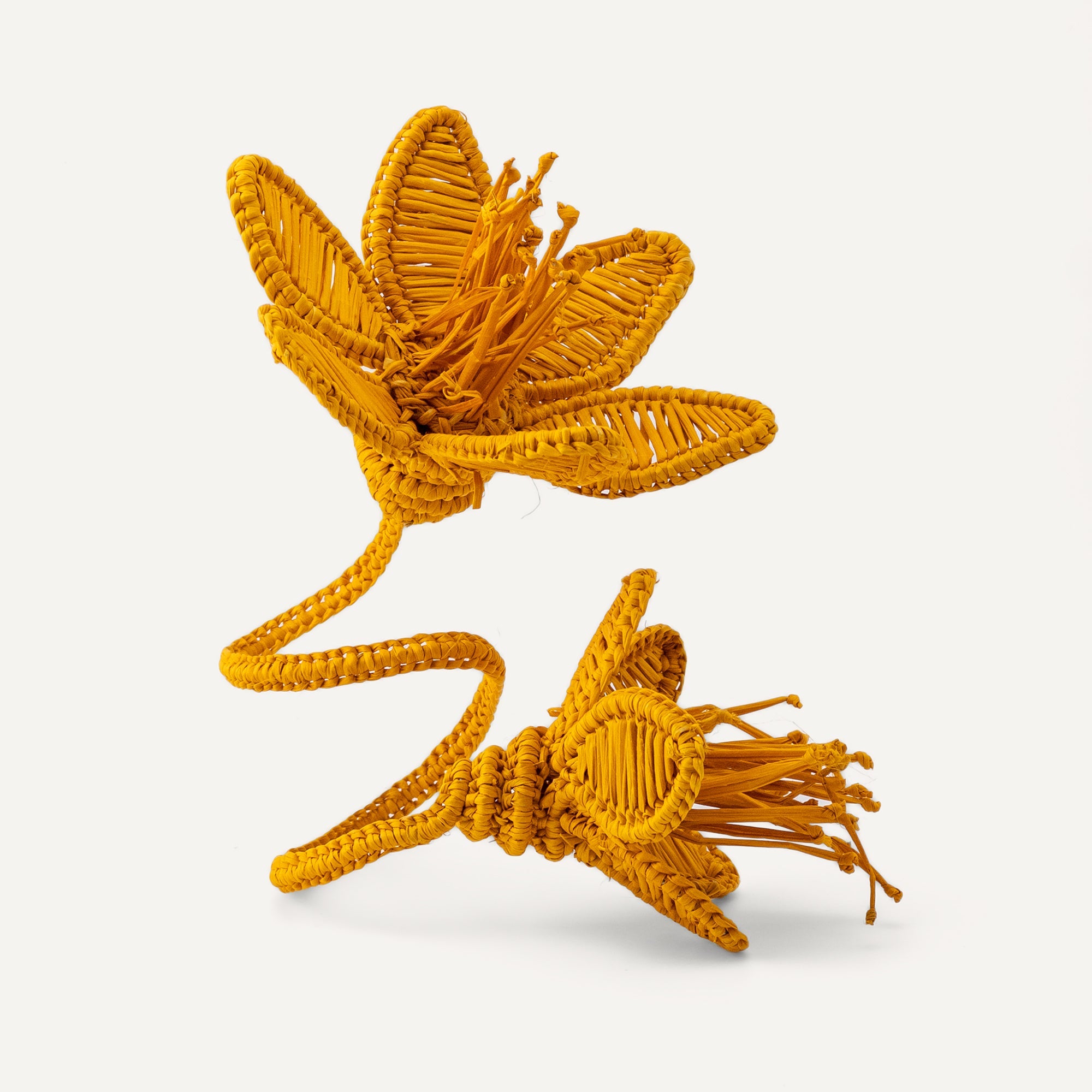 Florencia Napkin Ring Mustard TABLEWARE, SERVEWARE & COOKWARE