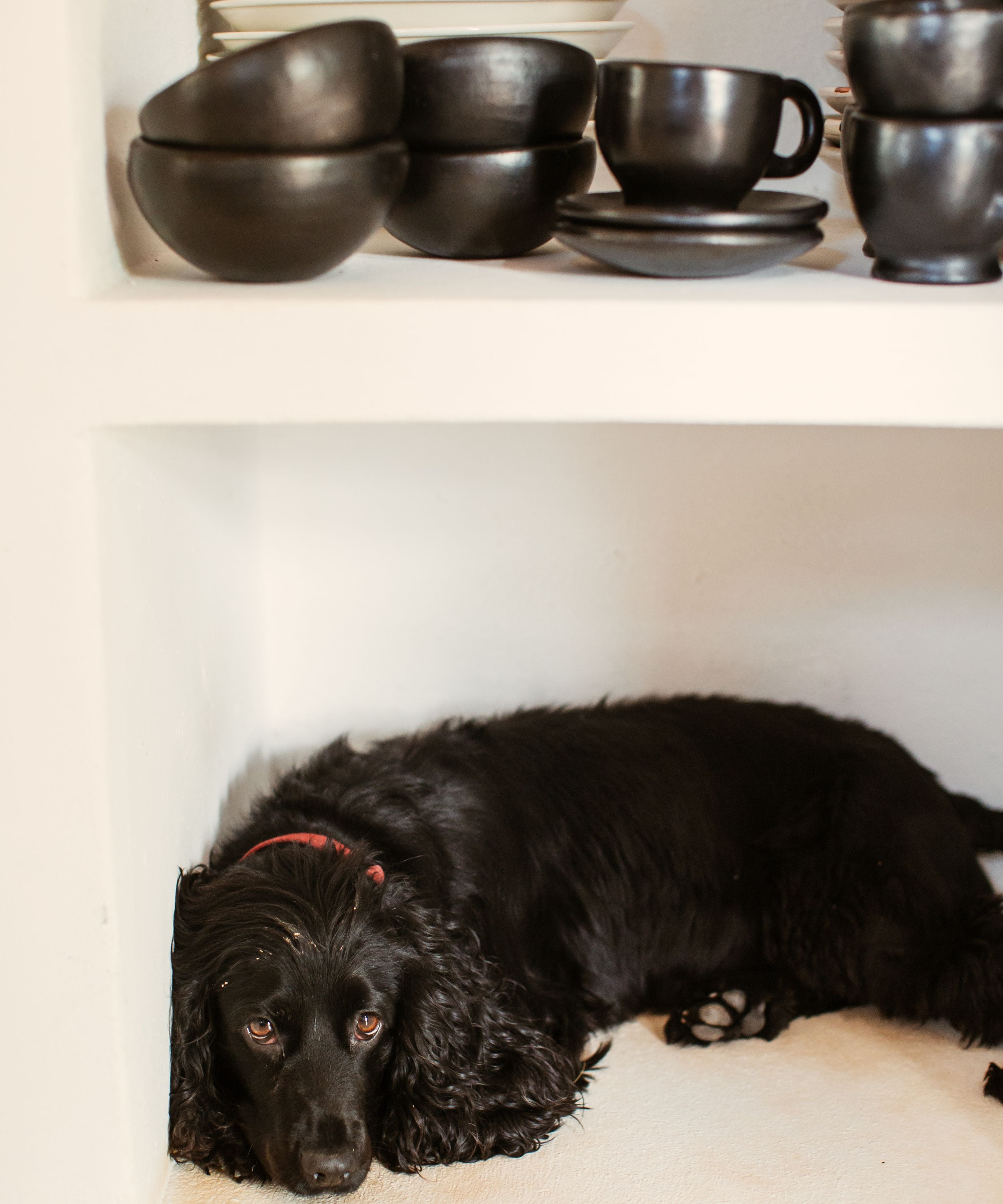 Bol à soupe (lot de 2)