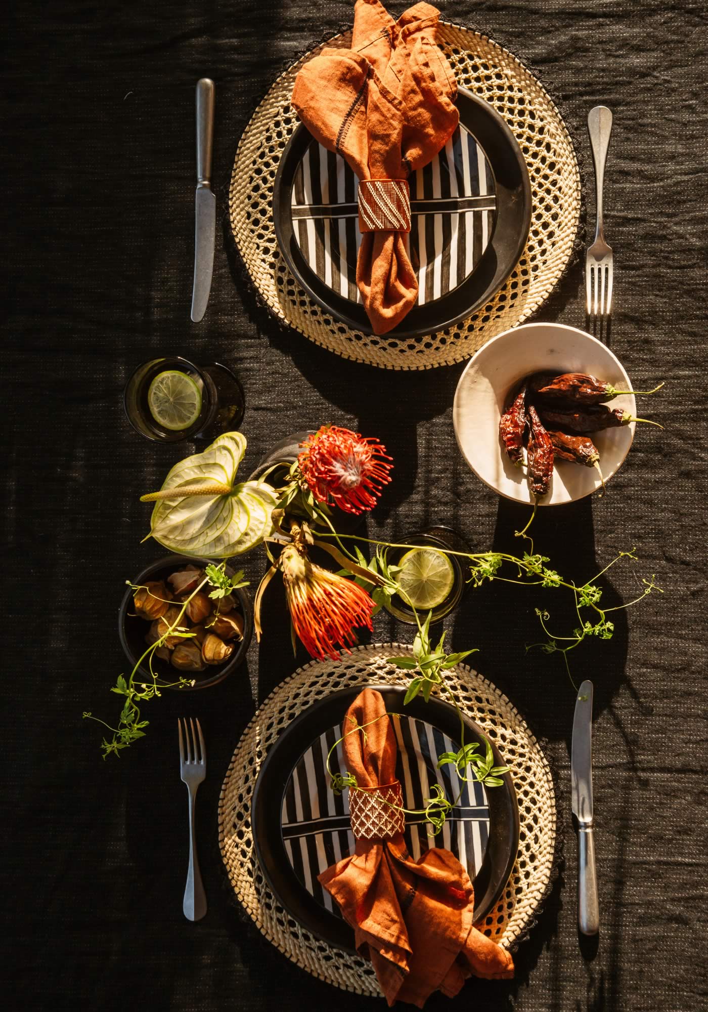 SET THE TABLE Plates Placemats Napkin Rings